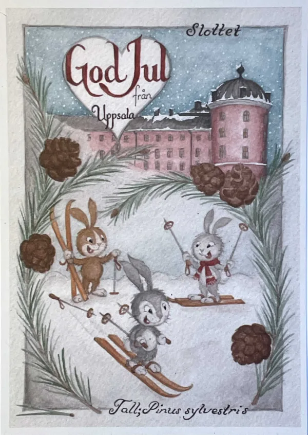 Uppsala - God Jul, slottet